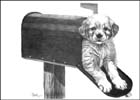 puppy notecards